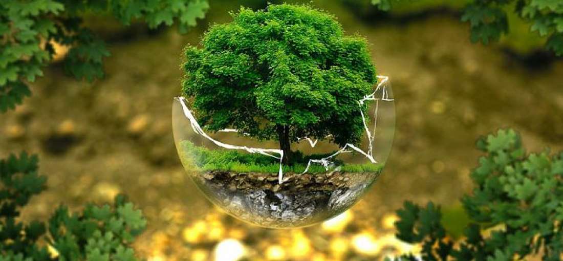 Green sustainable landscape and environmental conservation
